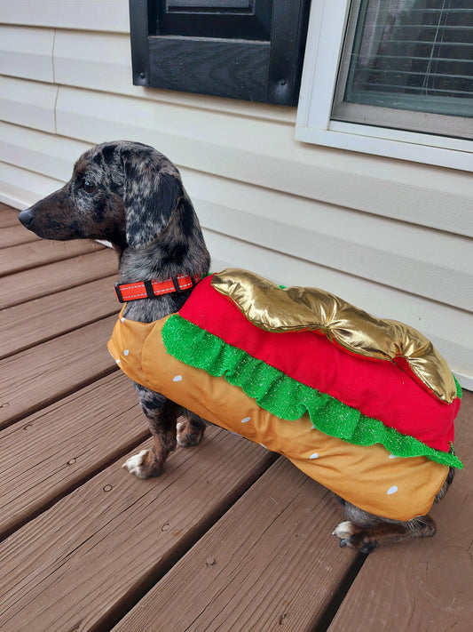 Canon for Pet Mayor of Halloween Town!