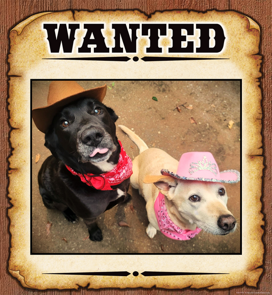 Max and Lucy for Pet Mayor of Halloween Town!